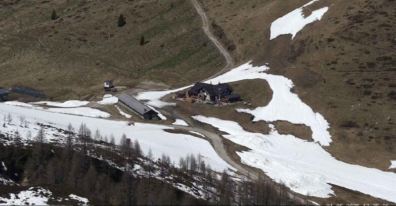 Webcam San Martino di Castrozza - Passo Rolle - Malga Tognola