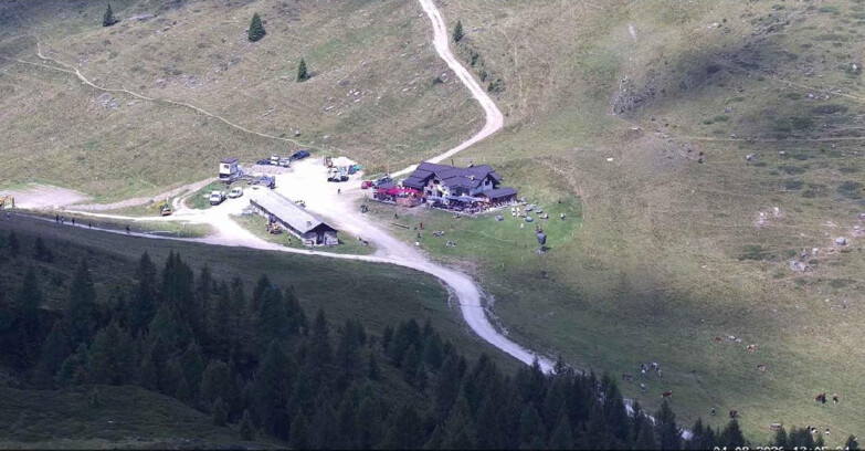 Webcam San Martino di Castrozza - Passo Rolle - Malga Tognola