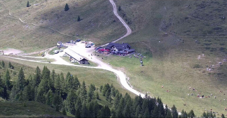 Webcam San Martino di Castrozza - Passo Rolle - Malga Tognola