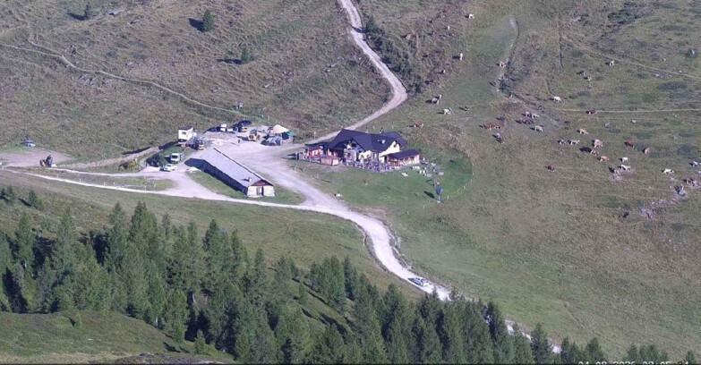 Webcam San Martino di Castrozza - Passo Rolle - Malga Tognola