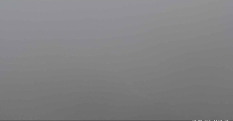 Webcam San Martino di Castrozza - Passo Rolle - Malga Tognola