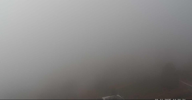 Webcam Виго-ди-Фасса-Пера-Чампедие  - Vigo - seggiovia Prà Martin