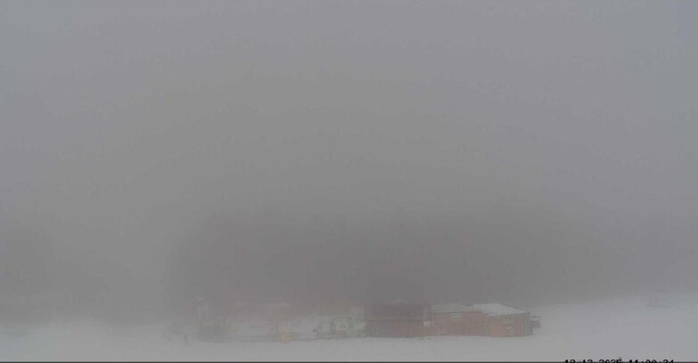 Webcam Vigo di Fassa-Pera-Ciampedìe - Vigo - dirupi di Larsech