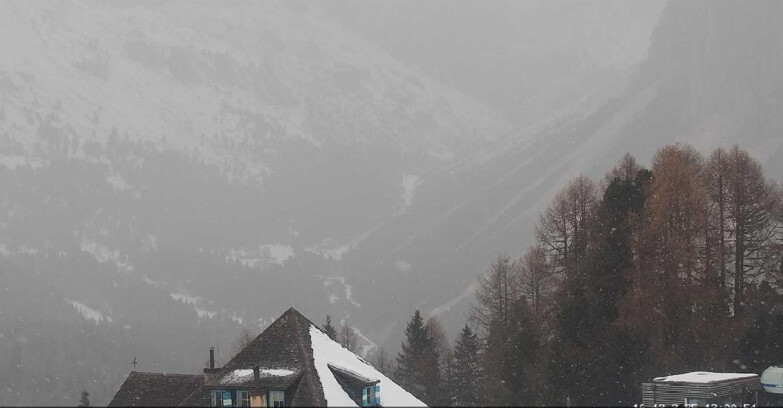 Webcam Vigo di Fassa-Pera-Ciampedìe - Vigo - Conca del Gardeccia