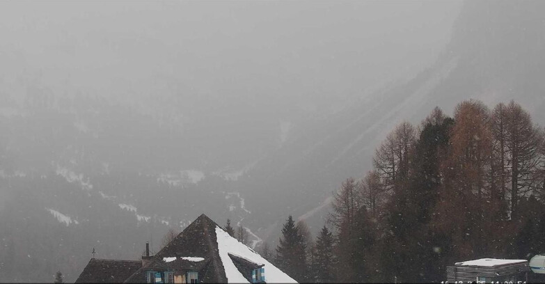 Webcam Vigo di Fassa-Pera-Ciampedìe - Vigo - Conca del Gardeccia