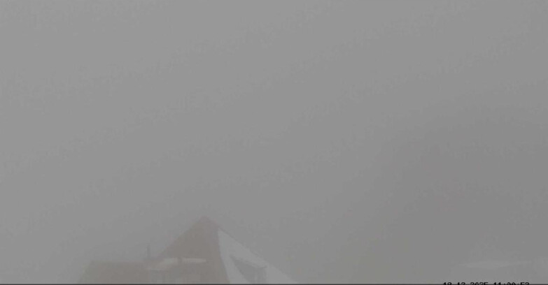 Webcam Vigo di Fassa-Pera-Ciampedìe - Vigo - Conca del Gardeccia