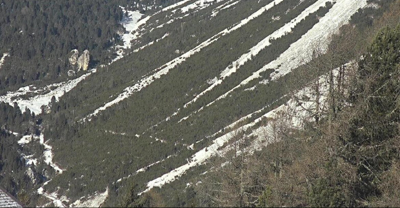 Webcam Vigo di Fassa-Pera-Ciampedìe - Vigo - Conca del Gardeccia