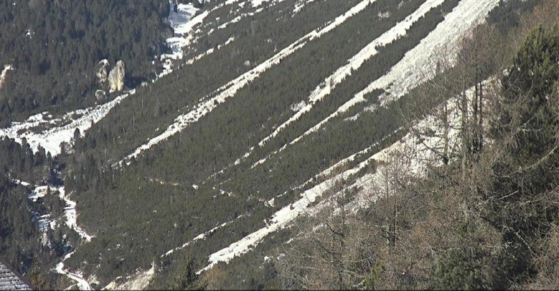 Webcam Vigo di Fassa-Pera-Ciampedìe - Vigo - Conca del Gardeccia