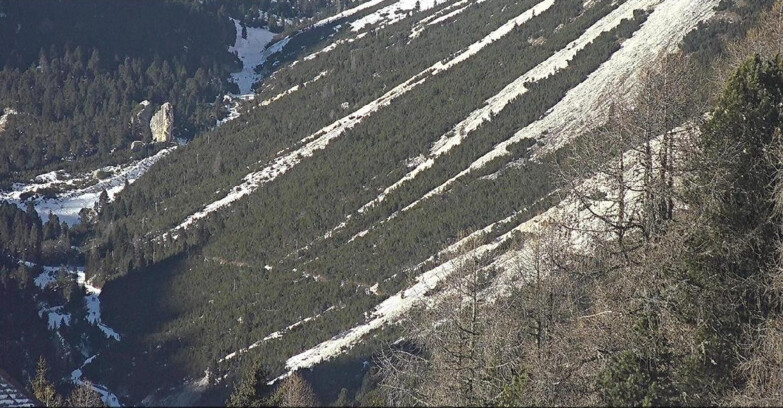 Webcam Vigo di Fassa-Pera-Ciampedìe - Vigo - Conca del Gardeccia