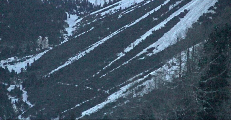 Webcam Vigo di Fassa-Pera-Ciampedìe - Vigo - Conca del Gardeccia