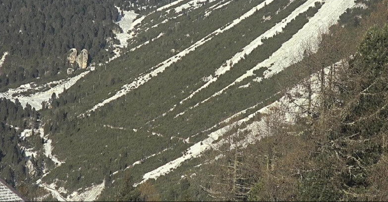 Webcam Vigo di Fassa-Pera-Ciampedìe - Vigo - Conca del Gardeccia