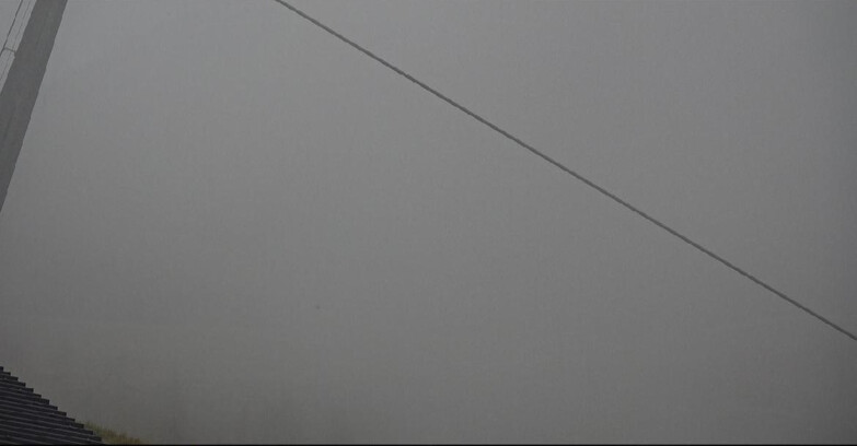 Webcam San Martino di Castrozza - Passo Rolle - Tognola - Rododendro