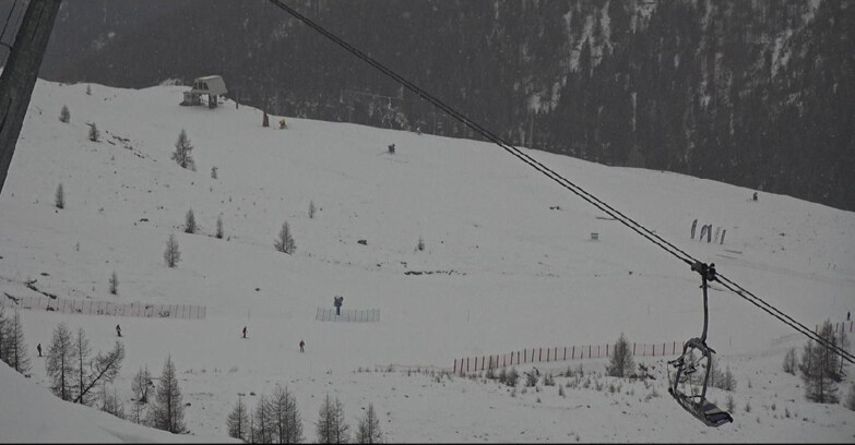 Webcam Сан-Мартино-ди-Кастроцца - Пассо-Ролле - Tognola - Rododendro