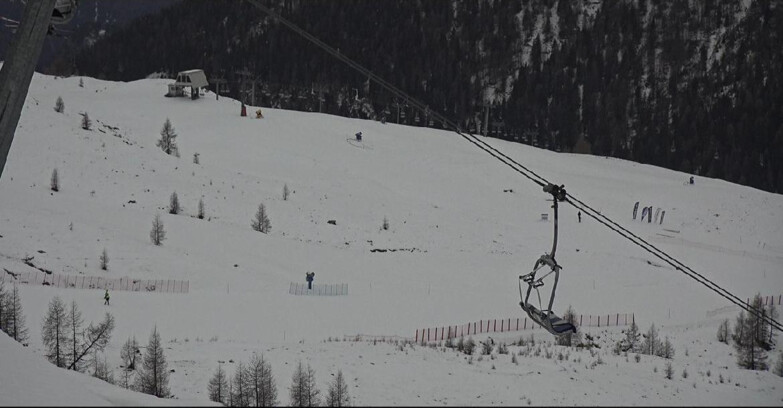 Webcam Сан-Мартино-ди-Кастроцца - Пассо-Ролле - Tognola - Rododendro