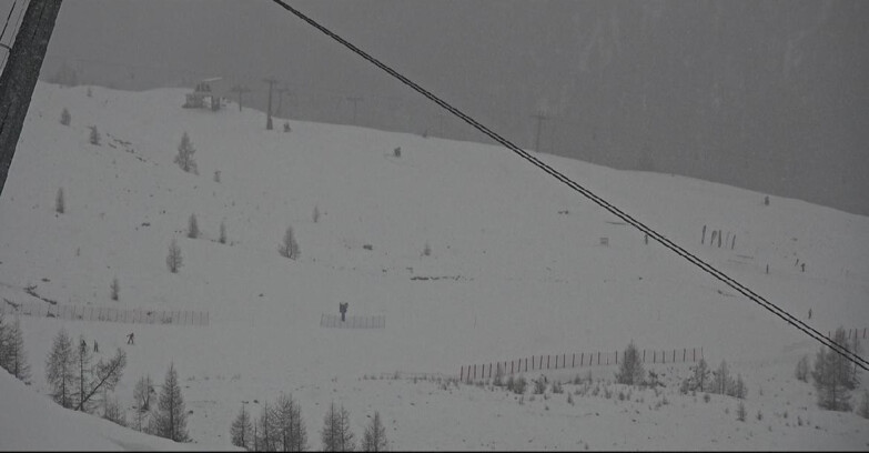 Webcam Сан-Мартино-ди-Кастроцца - Пассо-Ролле - Tognola - Rododendro