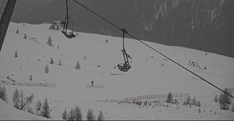 Webcam Сан-Мартино-ди-Кастроцца - Пассо-Ролле - Tognola - Rododendro