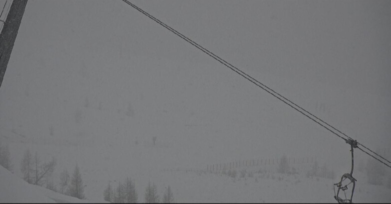 Webcam Сан-Мартино-ди-Кастроцца - Пассо-Ролле - Tognola - Rododendro