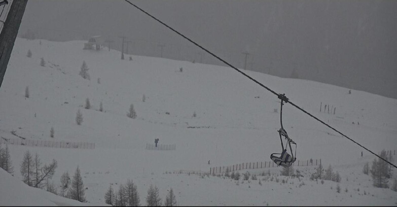 Webcam Сан-Мартино-ди-Кастроцца - Пассо-Ролле - Tognola - Rododendro