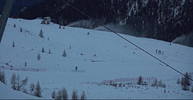 Webcam Сан-Мартино-ди-Кастроцца - Пассо-Ролле - Tognola - Rododendro