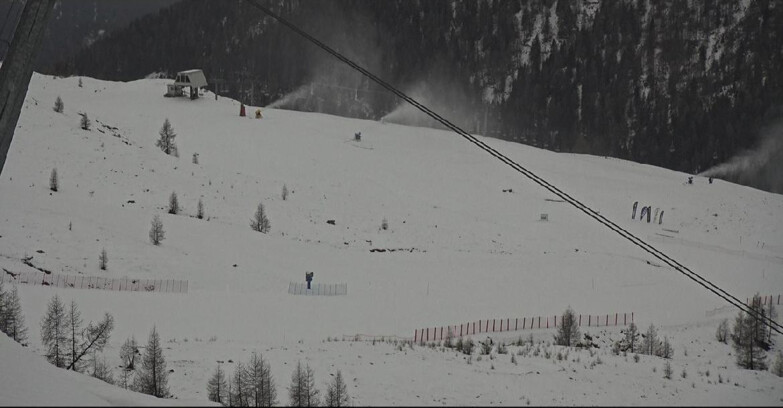 Webcam Сан-Мартино-ди-Кастроцца - Пассо-Ролле - Tognola - Rododendro