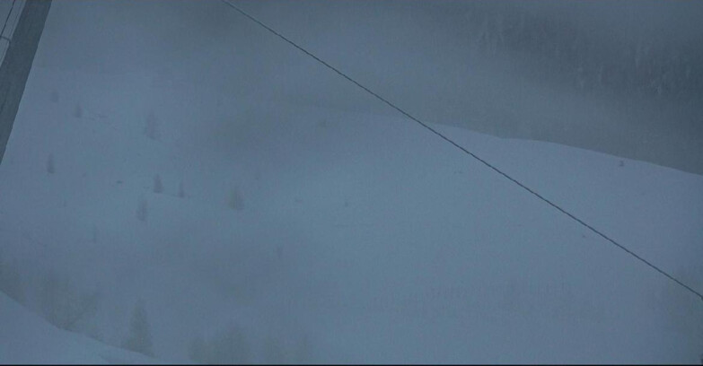 Webcam San Martino di Castrozza - Passo Rolle - Tognola - Rododendro