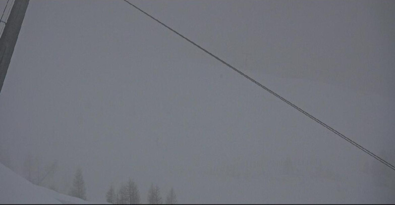 Webcam San Martino di Castrozza - Passo Rolle - Tognola - Rododendro