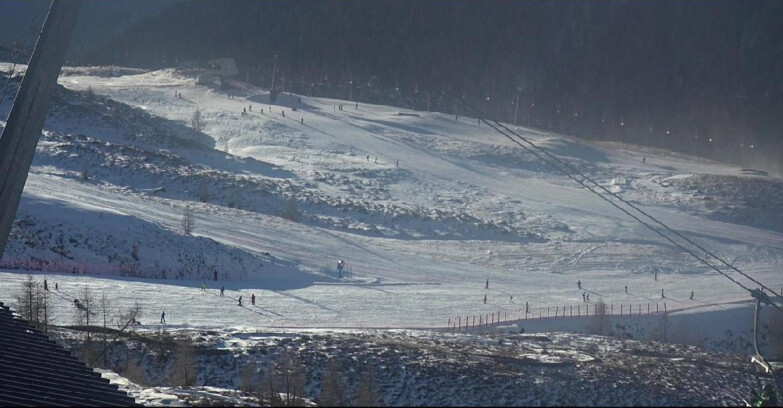 Webcam San Martino di Castrozza - Passo Rolle  - Tognola - Rododendro