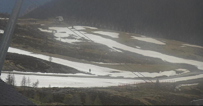 Webcam San Martino di Castrozza - Passo Rolle  - Tognola - Rododendro