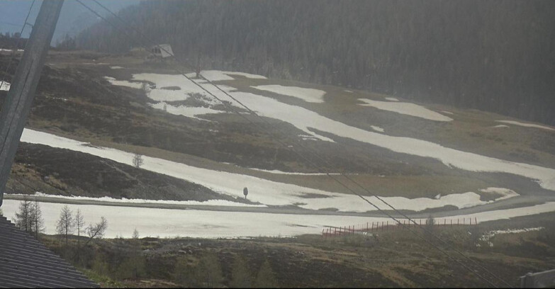 Webcam Сан-Мартино-ди-Кастроцца - Пассо-Ролле - Tognola - Rododendro