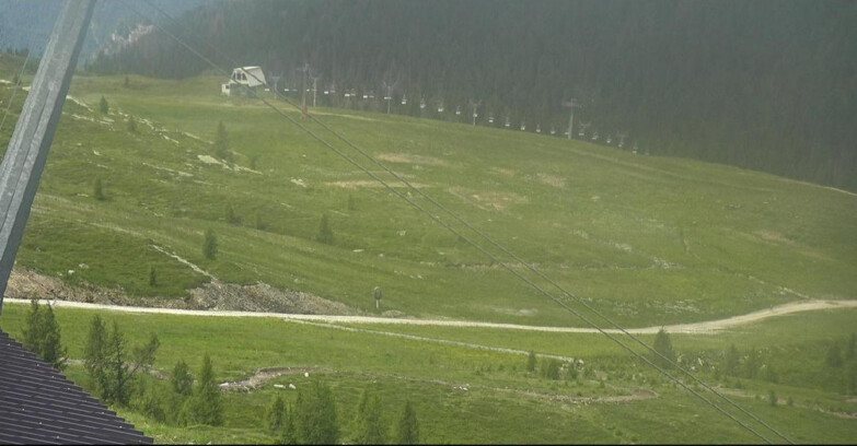 Webcam San Martino di Castrozza - Passo Rolle - Tognola - Rododendro
