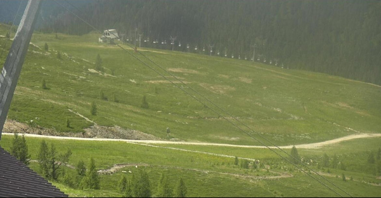 Webcam San Martino di Castrozza - Passo Rolle - Tognola - Rododendro
