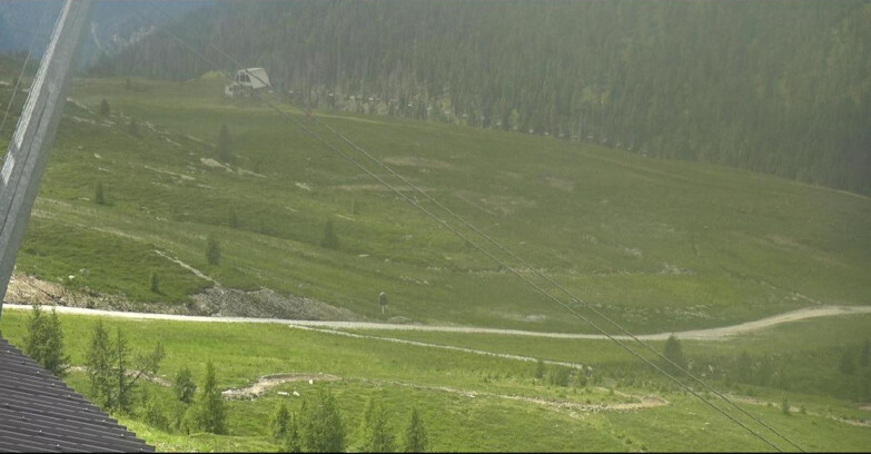 Webcam San Martino di Castrozza - Passo Rolle - Tognola - Rododendro