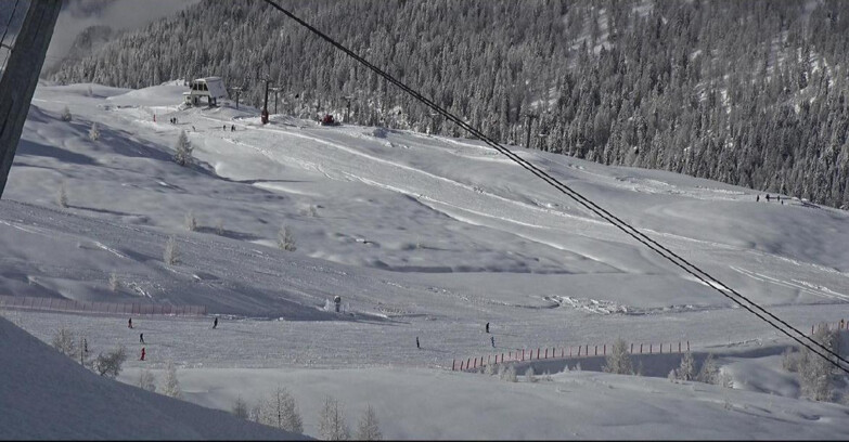 Webcam San Martino di Castrozza - Passo Rolle - Tognola - Rododendro