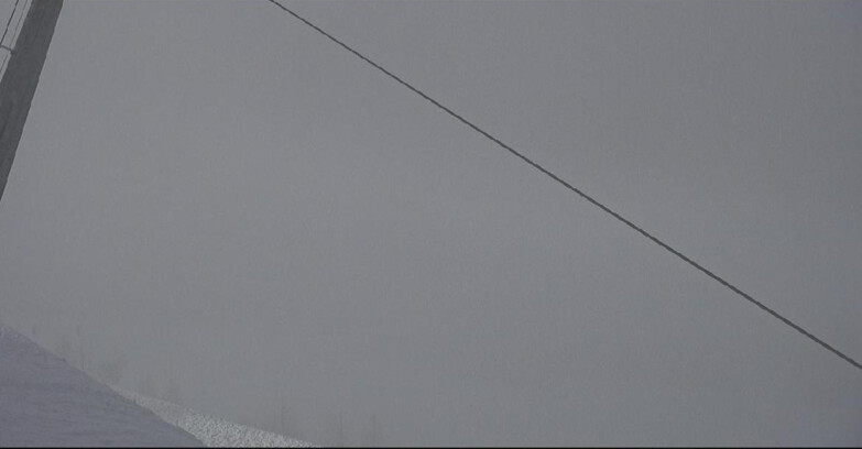 Webcam San Martino di Castrozza - Passo Rolle - Tognola - Rododendro