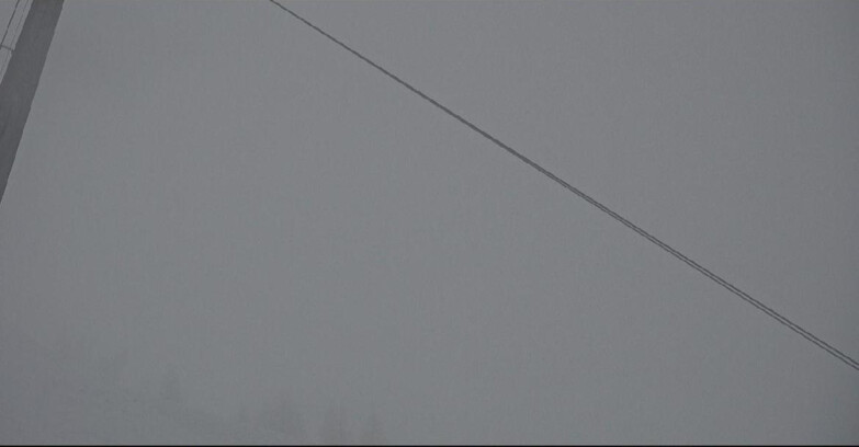 Webcam San Martino di Castrozza - Passo Rolle - Tognola - Rododendro