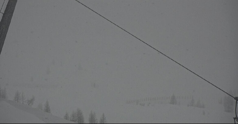 Webcam San Martino di Castrozza - Passo Rolle - Tognola - Rododendro