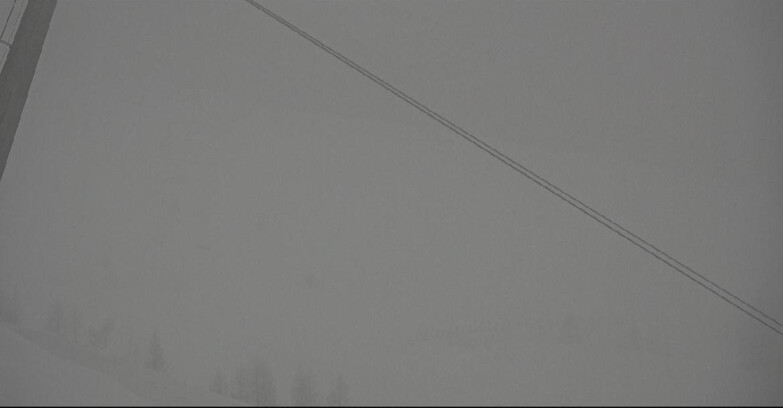 Webcam San Martino di Castrozza - Passo Rolle - Tognola - Rododendro