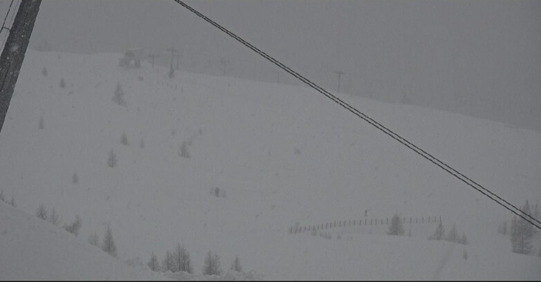 Webcam Сан-Мартино-ди-Кастроцца - Пассо-Ролле - Tognola - Rododendro