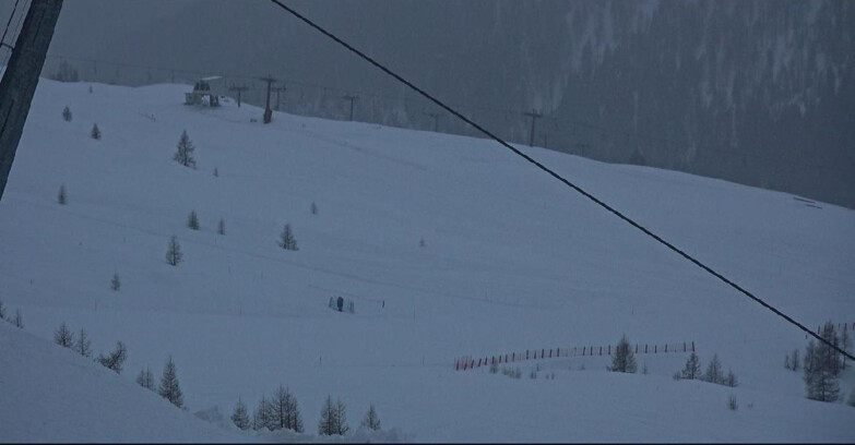 Webcam Сан-Мартино-ди-Кастроцца - Пассо-Ролле - Tognola - Rododendro