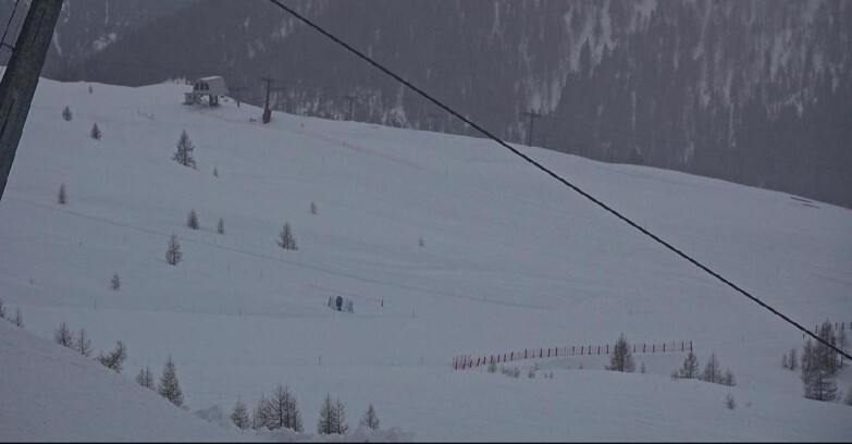 Webcam Сан-Мартино-ди-Кастроцца - Пассо-Ролле - Tognola - Rododendro