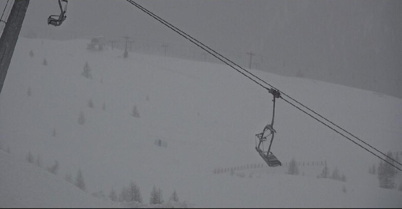 Webcam Сан-Мартино-ди-Кастроцца - Пассо-Ролле - Tognola - Rododendro