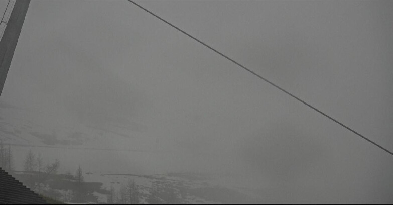 Webcam San Martino di Castrozza - Passo Rolle  - Tognola - Rododendro