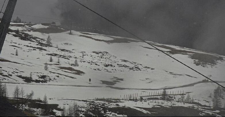 Webcam San Martino di Castrozza - Passo Rolle  - Tognola - Rododendro