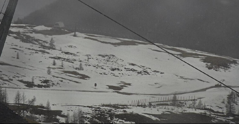 Webcam San Martino di Castrozza - Passo Rolle  - Tognola - Rododendro