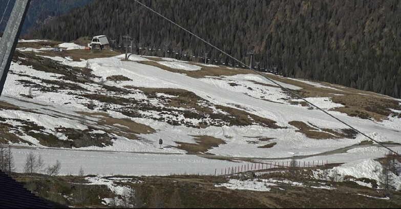 Webcam San Martino di Castrozza - Passo Rolle - Tognola - Rododendro