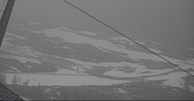 Webcam San Martino di Castrozza - Passo Rolle - Tognola - Rododendro