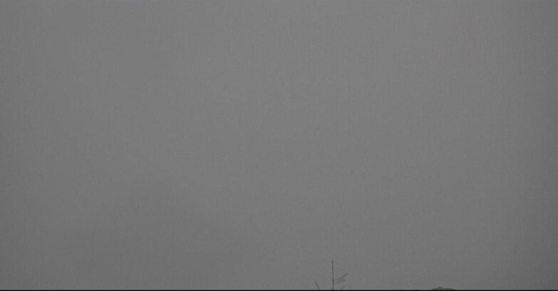 Webcam San Martino di Castrozza - Passo Rolle - Tognola - Pista Cigolera Webcam San Martino di Castrozza - Passo Rolle - Tognola - Pista Cigolera