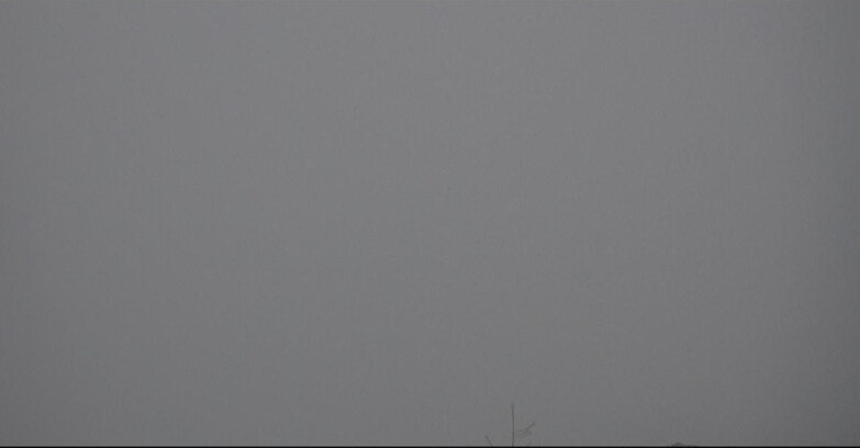 Webcam San Martino di Castrozza - Passo Rolle - Tognola - Pista Cigolera