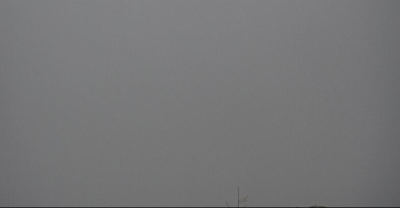 Webcam San Martino di Castrozza - Passo Rolle - Tognola - Pista Cigolera