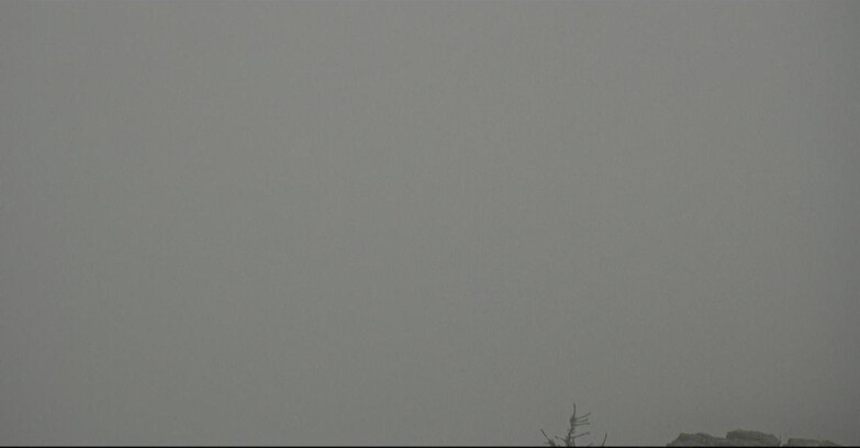 Webcam San Martino di Castrozza - Passo Rolle - Tognola - Pista Cigolera